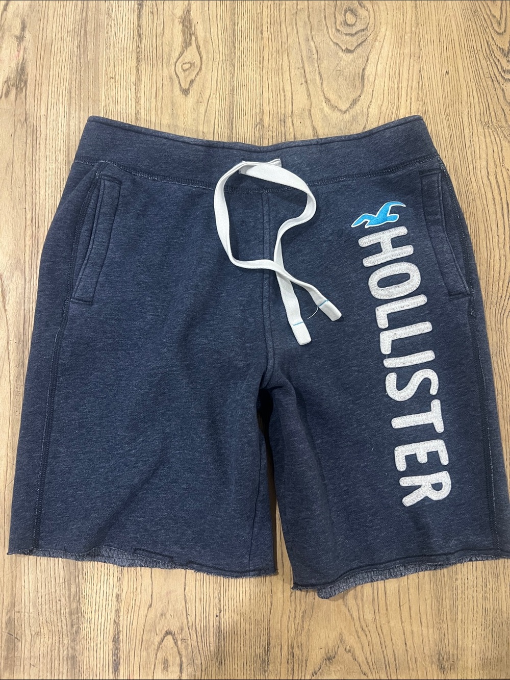 Hollister Small Navy Blue Logo Drawstring Shorts